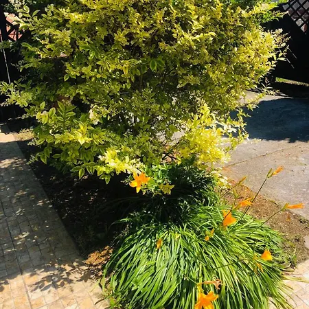 Caloroczny Przytulny Dom Jednorodzinny Przy Plazy I Marinie * Dziwnów